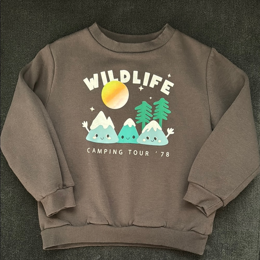 H&M sweatshirt